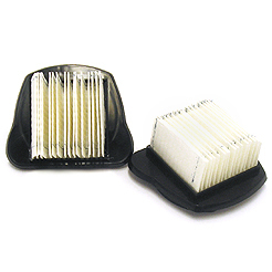 Dirt Devil: Hand Vacuum Filter for M08230
