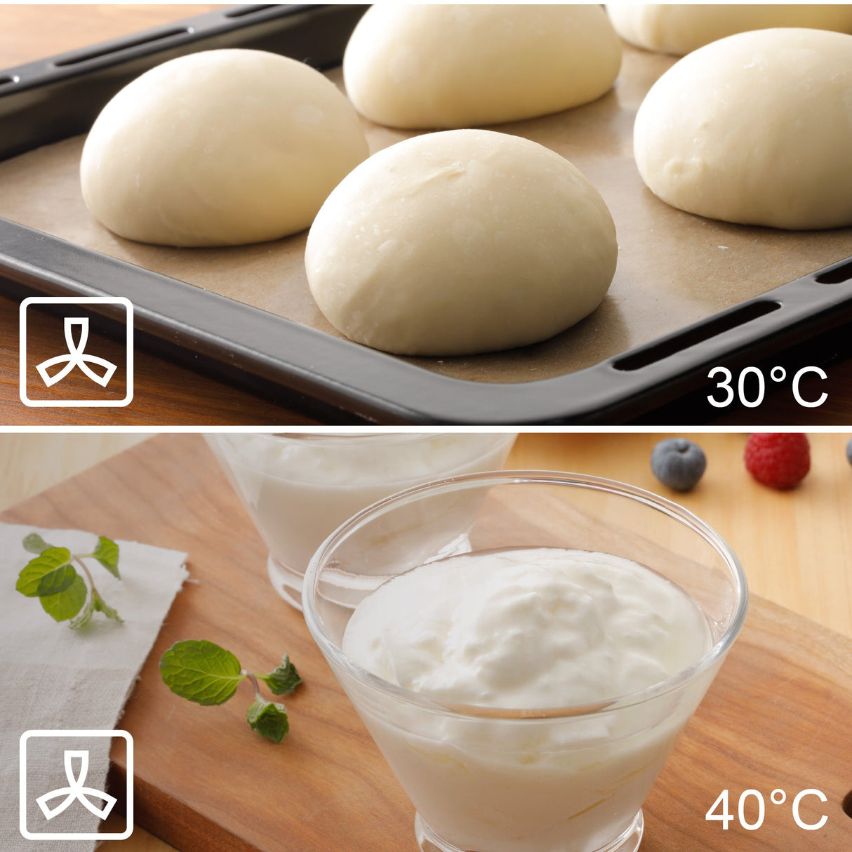 Panasonic Steam Convection Oven: 0.71 cu.ft, 20L, 2-in-1, black | NC-SC180B