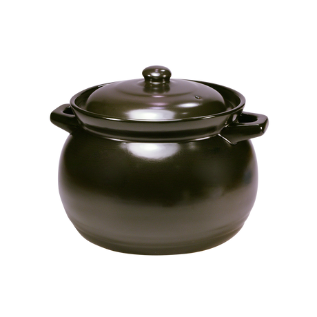 Healthy Bear 2.8L Ceramic Soup Pot | BCCP-28SG
